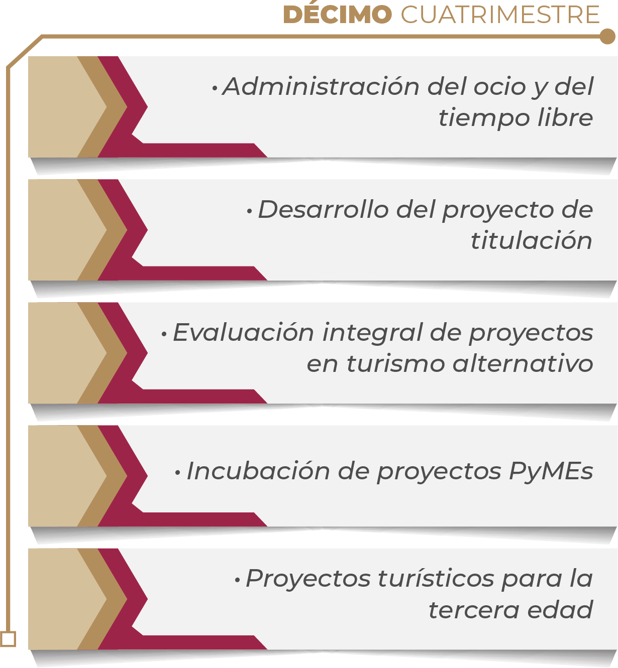 MAPA CURRICULAR SOFTWARE